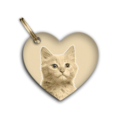 Personalised Pet Tag Brass Heart Shape Identifier and Contact